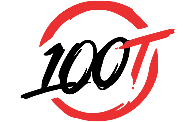 brand 100 Thieves